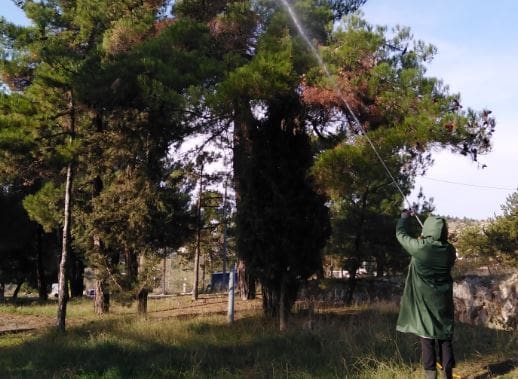 Δήμος Κοζάνης: Εργασίες φυτοπροστασίας στο αλσύλλιο στην περιοχή Παναγίας στην Κοινότητα Καισαρειάς