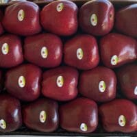 ΥΠΑΑΤ: Πότε θα ανακοινώσει τα μέτρα στήριξης των μηλοπαραγωγών