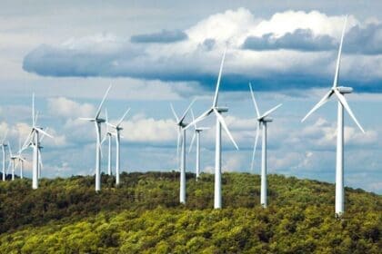 Eορδαία: Προσφυγή στο ΣΤΕ για τις ανεμογεννήτριες στο Βέρμιο - Eordaialive.com