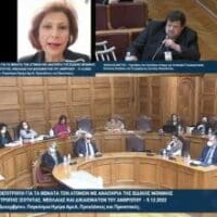 Με πρωτοβουλία της Παρασκευής Βρυζίδου Βουλευτή Ν. Κοζάνης κατατέθηκαν τα προβλήματα των ΑμεΑ της ΠΕ Κοζάνης στους αρμόδιους Υπουργούς στην υποεπιτροπή Ισότητας της Βουλής