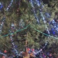 Eordaialive.com - Τα Νέα της Πτολεμαΐδας, Εορδαίας, Κοζάνης θρακική Εστία Εορδαίας: To Άναμμα του Χριστουγεννιάτικου δέντρου και γιορτή τσιγαρίδας (βίντεο)