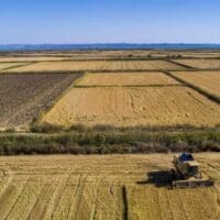 Επιχορηγήσεις έως 500.000 ευρώ για αγρότες – Ποιες δράσεις μπορούν να χρηματοδοτηθούν