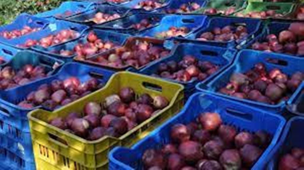 Εορδαία: Δυσαρεστημένοι οι μηλοπαραγωγοί για τη μη καταβολή των αποζημιώσεων