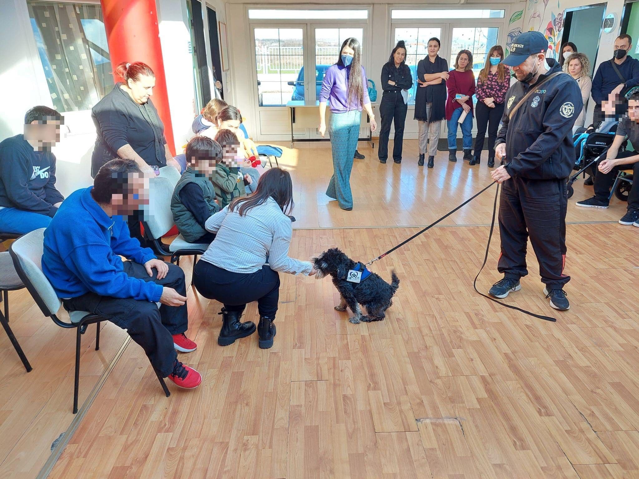 Eordaialive.com - Τα Νέα της Πτολεμαΐδας, Εορδαίας, Κοζάνης Σκύλος θεραπείας: Επίσκεψη και δράση στο Ειδικό Γυμνάσιο - Λύκειο Πτολεμαΐδας! (φωτογραφίες)