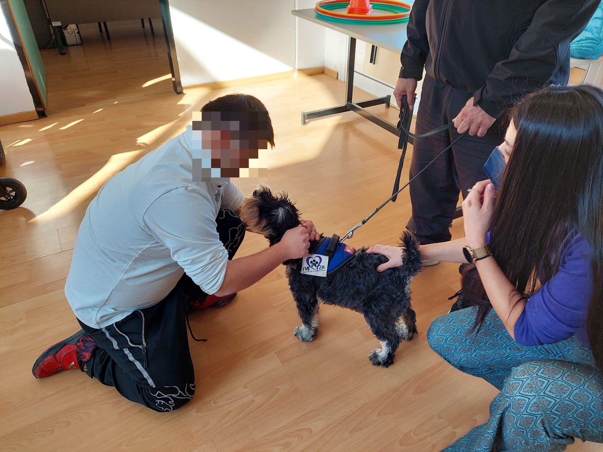 Eordaialive.com - Τα Νέα της Πτολεμαΐδας, Εορδαίας, Κοζάνης Σκύλος θεραπείας: Επίσκεψη και δράση στο Ειδικό Γυμνάσιο - Λύκειο Πτολεμαΐδας! (φωτογραφίες)