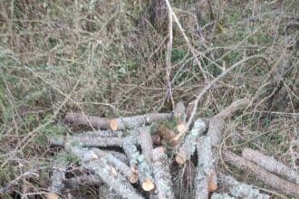 Συνελήφθη 58χρονος αλλοδαπός σε δύσβατη δασική περιοχή της Καστοριάς, για παράβαση της δασικής νομοθεσίας και περί αλλοδαπών