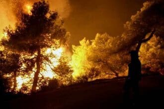 Ανακοίνωση της διοίκησης Πυροσβεστικών Υπηρεσιών Ν. Κοζάνης για τις αγροτοδασικές πυρκαγιές