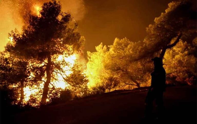 Ανακοίνωση της διοίκησης Πυροσβεστικών Υπηρεσιών Ν. Κοζάνης για τις αγροτοδασικές πυρκαγιές