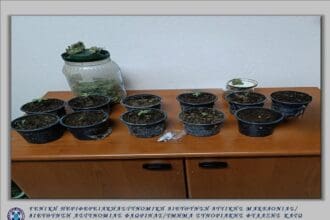 Eordaialive.com - Τα Νέα της Πτολεμαΐδας, Εορδαίας, Κοζάνης Συνελήφθη 61χρονος σε περιοχή τηςΦλώρινας για καλλιέργεια δενδρυλλίωνκάνναβης και κατοχή ναρκωτικών ουσιών