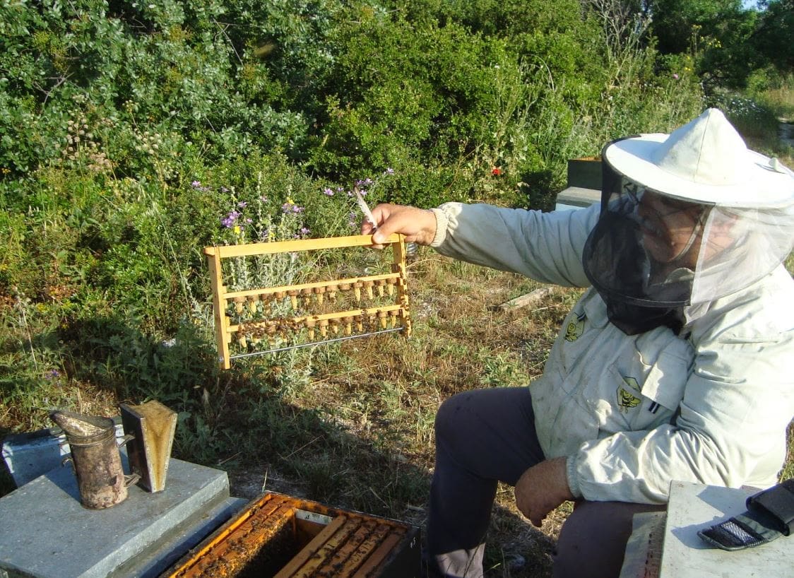 Μελισσοκομία: Ποιοι μπορούν να λάβουν οικονομική στήριξη και πώς