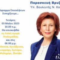 Παρασκευή Βρυζίδου υπ. Βουλευτής Ν. Κοζάνης - Πρόγραμμα επισκέψεων την Τετάρτη 03 Μαΐου 2023