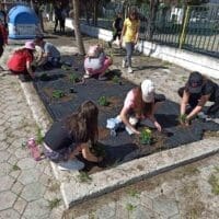 Σύλλογος Γονέων και Κηδεμόνων Δημοτικού Σχολείου Περδικκα: Χθες είχαμε την χαρά για τρίτη συνεχόμενη χρόνια να φυτέψουμε με τα παιδιά από το σχολείο μας ανθοφόρα φυτά! (φωτογραφίες)