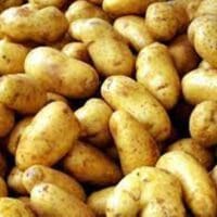 Eορδαία: Σάπισαν οι πατάτες στα χωράφια του Φούφα