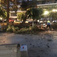 Πτολεμαΐδα: Δέντρο έπεσε πάνω σε αυτοκίνητο ( βίντεο φωτογραφίες )