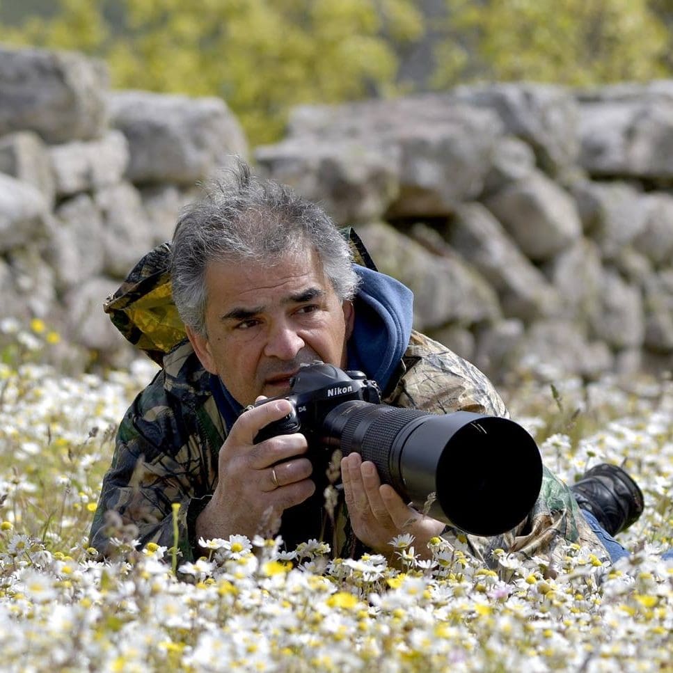 Εορδαία: Ξεδιψά τα φτερωτά και τα φωτογραφίζει!