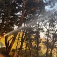 Πτολεμαΐδα: Σε ετοιμότητα για τις πυρκαγιές ο Δήμος Εορδαίας