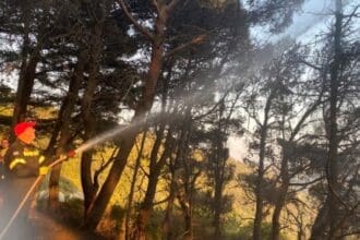 Διοικητικό Πρόστιμο για Πρόκληση Πυρκαγιάς σε Ξηρά Χόρτα στην Π.Ε. Φλώρινας - Eordaialive.com