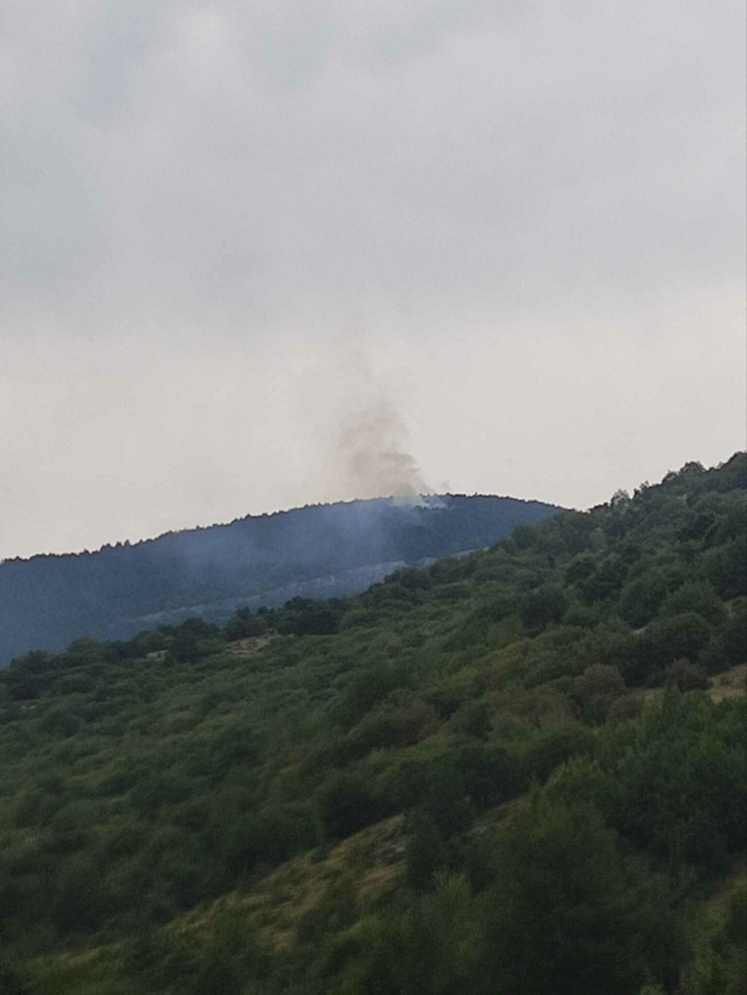 Μεσόβουνο Εορδαίας Τώρα : Έπεσε κεραυνός - Πήρε φωτιά πευκώδη έκταση ( εικόνα)