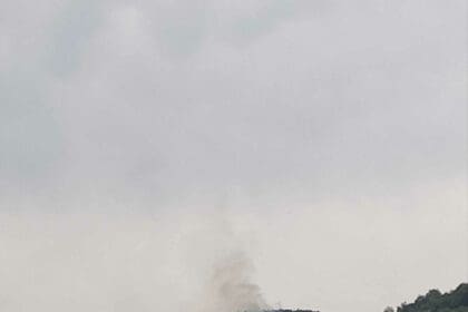 Μεσόβουνο Εορδαίας Τώρα : Έπεσε κεραυνός - Πήρε φωτιά πευκώδη έκταση ( εικόνα)