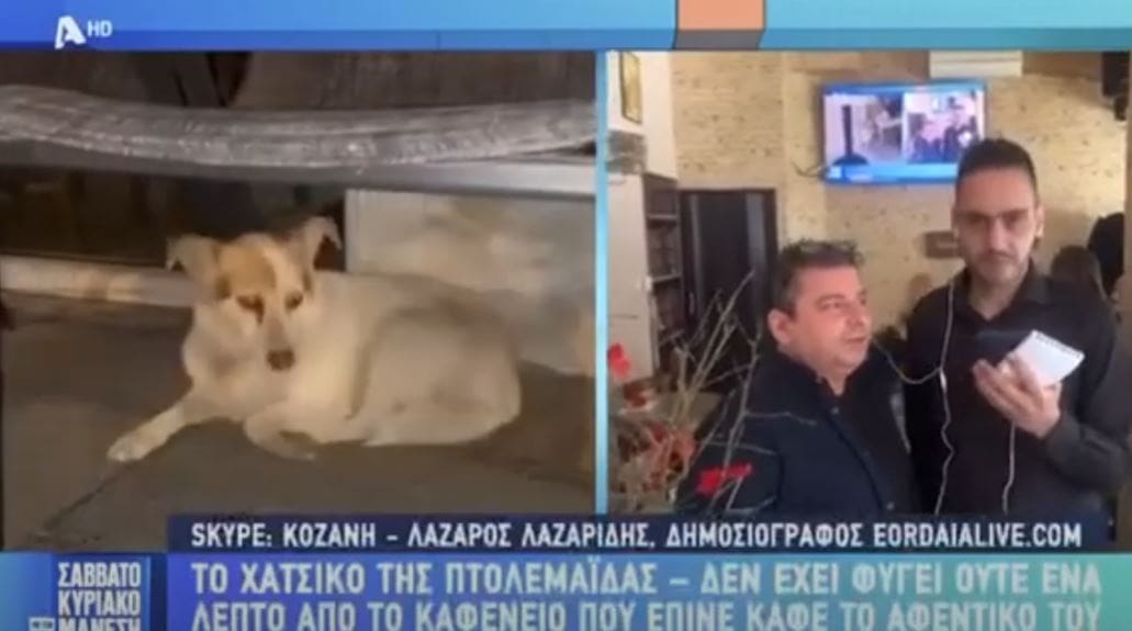 Πτολεμαΐδα- Μένια: ένα σκυλί με καρδιά και φωνή! Περιμένει το αφεντικό της που έχει φύγει από τη ζωή ! Το eordaialive στην Εκπομπή Σαββατοκύριακο με τον Μάνεση (βίντεο)