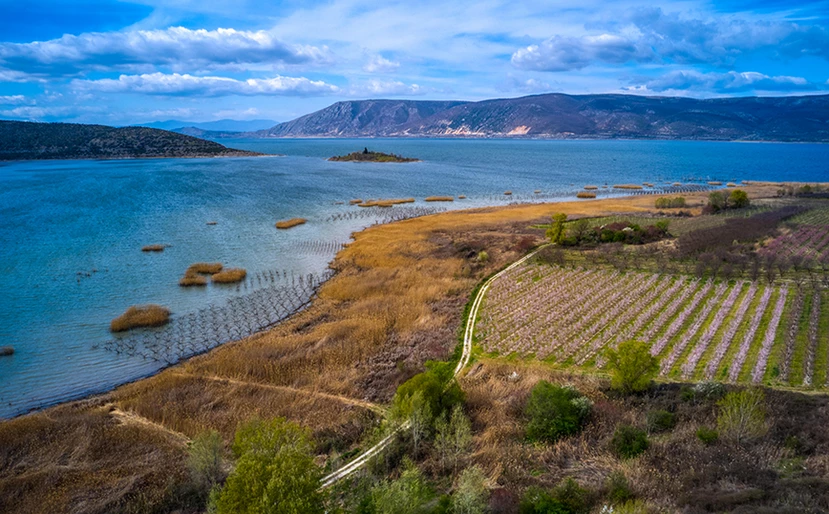 Eordaialive.com - Τα Νέα της Πτολεμαΐδας, Εορδαίας, Κοζάνης Λίμνη Βεγορίτιδα: Η τρίτη μεγαλύτερη λίμνη στην Ελλάδα. Φωτογραφίες που μοιάζουν με πίνακα ζωγραφικής.