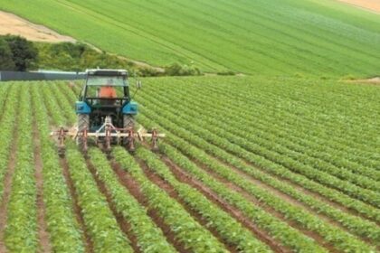Αγροτική επιχειρηματικότητα: Στο gov.gr περνούν 5 νέες υπηρεσίες