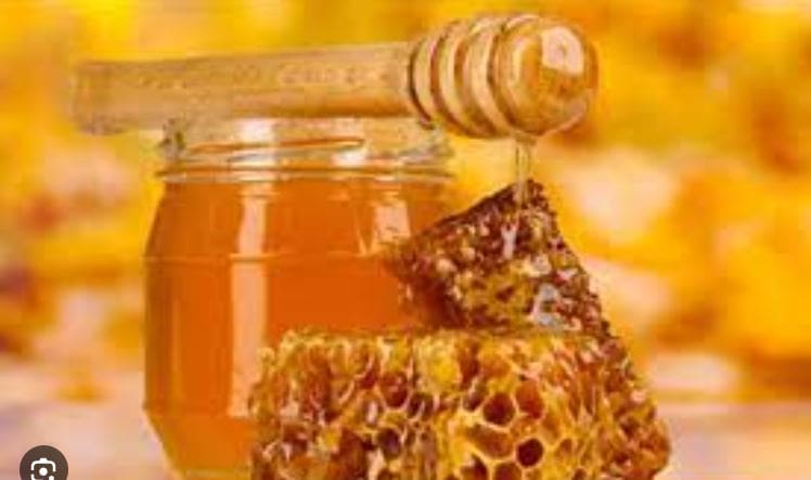 ΜΕΛΙΣΣΟΚΟΜΙΚΟΣ ΣΥΛΛΟΓΟΣ ΝΟΜΟΥ ΚΟΖΑΝΗΣ ΚΕΝΤΡΟ ΜΕΛΙΣΣΟΚΟΜΙΑΣ ΔΥΤΙΚΗΣ ΜΑΚΕΔΟΝΙΑΣ - 20 ΜΑΪΟΥ ΠΑΓΚΟΣΜΙΑ ΗΜΕΡΑ ΜΕΛΙΣΣΑΣ - Eordaialive.com