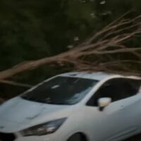 Πτώση Δέντρων στην Πτολεμαΐδα λόγω των ισχυρών ανέμων - ζημιές σε παρκαρισμένα αυτοκίνητα (βίντεο)
