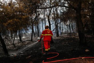 Κοζάνη: Δύο συλλήψεις για την φωτιά μεταξύ Βλάστης και Σισανίου