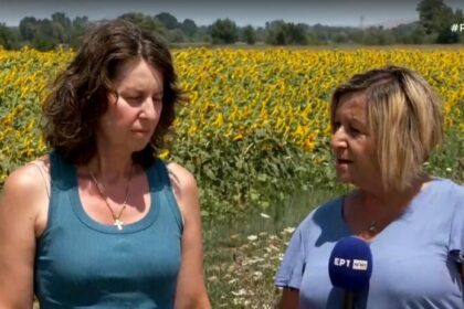Κοζάνη: Απροστάτευτοι οι αγρότες από τις επιδρομές των αγριόχοιρων στις καλλιέργειες