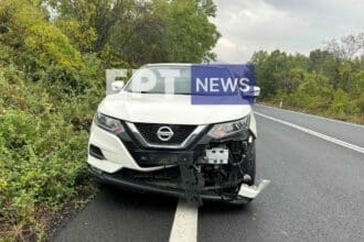 Καστοριά: Τροχαίο ατύχημα με νεκρό ζαρκάδι - Eordaialive.com