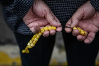 Αυτές θα είναι οι μέσες συντάξεις γήρατος σε όλα τα ταμεία [πίνακες με ποσά] - Eordaialive.com