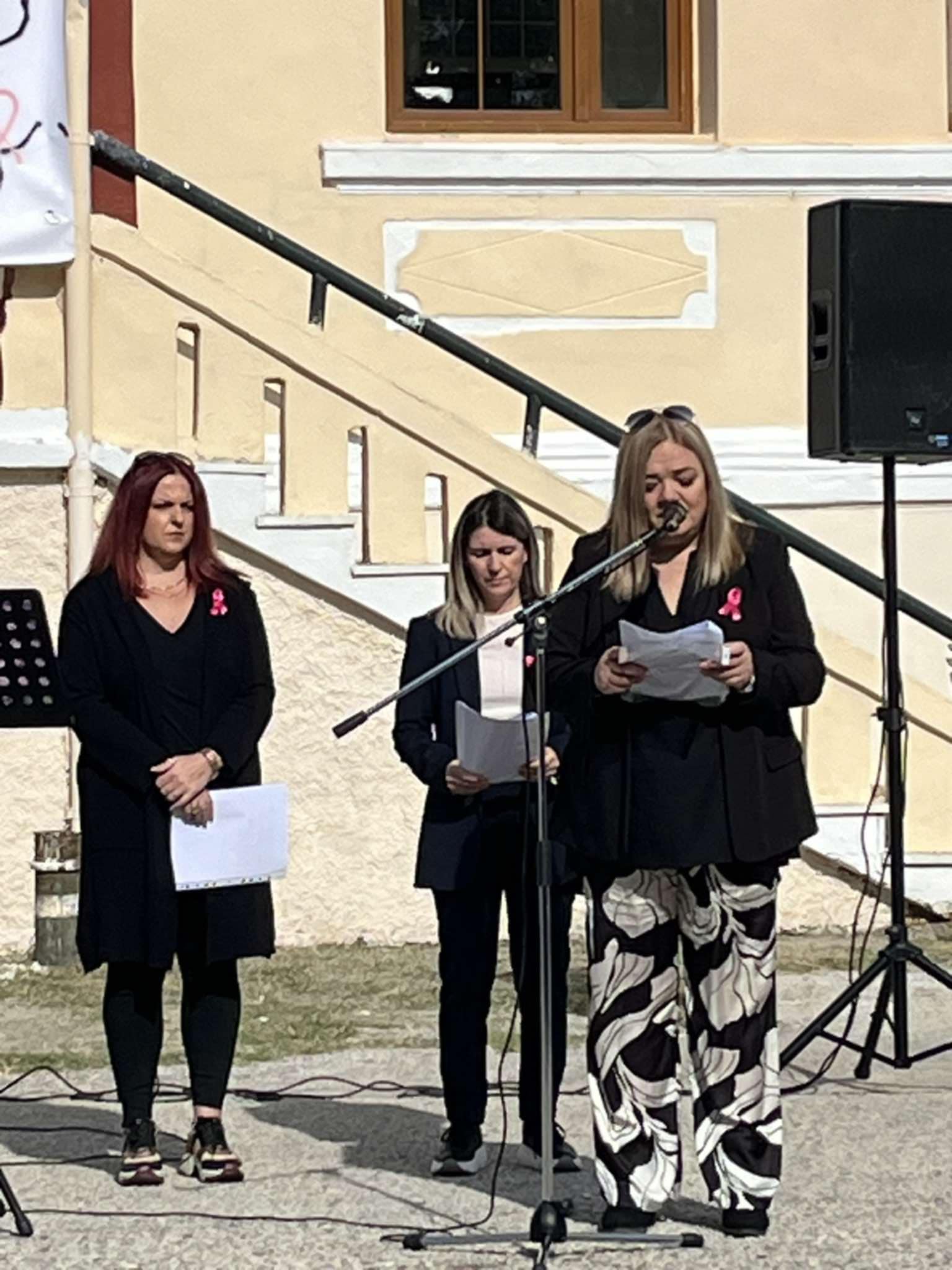 Στέγη Γραμμάτων και Τεχνών Αμυνταίου - Mε επιτυχία πραγματοποιήθηκε η εκδήλωση για την πρόληψη του καρκίνου του μαστού - Eordaialive.com