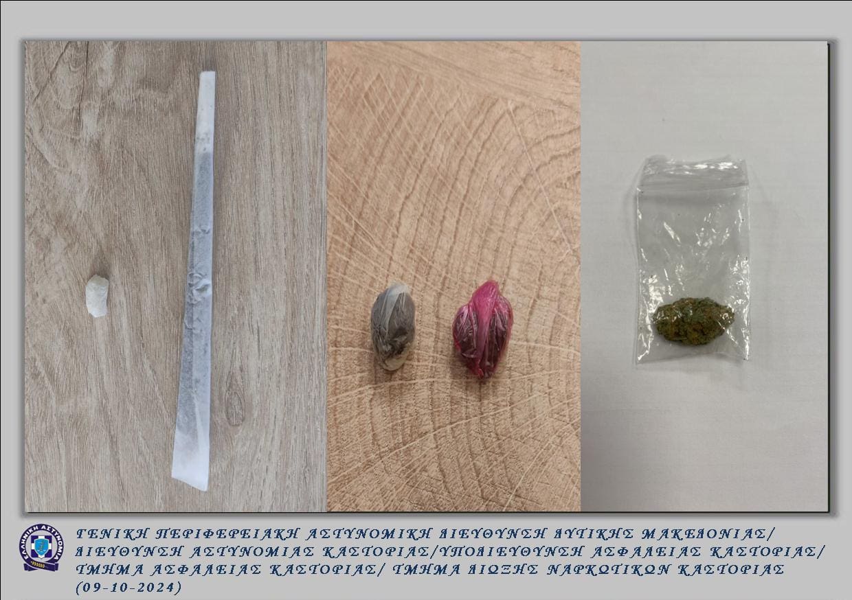 Στο πλαίσιο συνεχιζόμενων δράσεων για την καταπολέμηση της εγκληματικότητας στη Δυτική Μακεδονία, συνελήφθησαν κατά το διαρρεύσαν εικοσαήμερο συνολικά -10- άτομα, σε περιοχές της Καστοριάς, Κοζάνης και Φλώρινας - Eordaialive.com