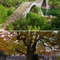Oρειβατική λέσχη Εορδαίας - ΦΘΗΝΟΠΟΡΙΝΟ ΖΑΓΟΡΙ - Eordaialive.com