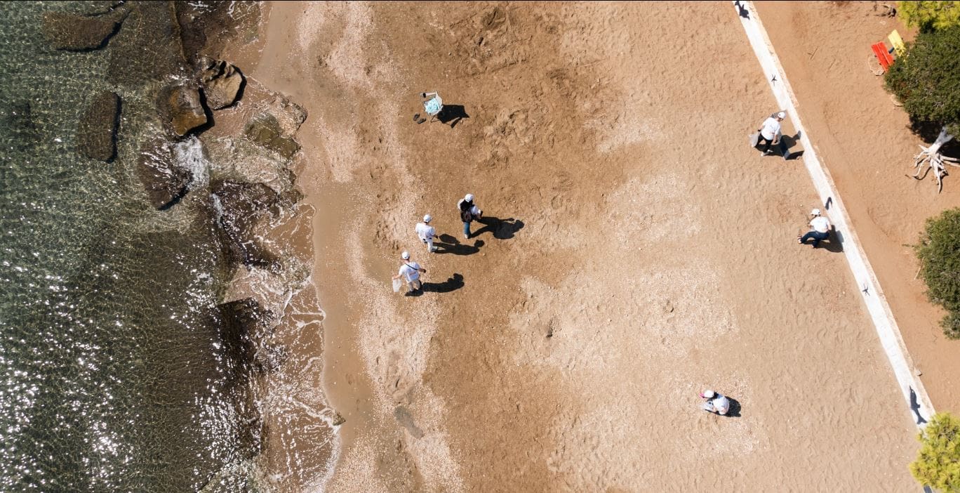 ΔΕΗ – Project Paralies: Συνεργάζονται για τον καθαρισμό και την προστασία 50 ελληνικών παραλιών - Eordaialive.com