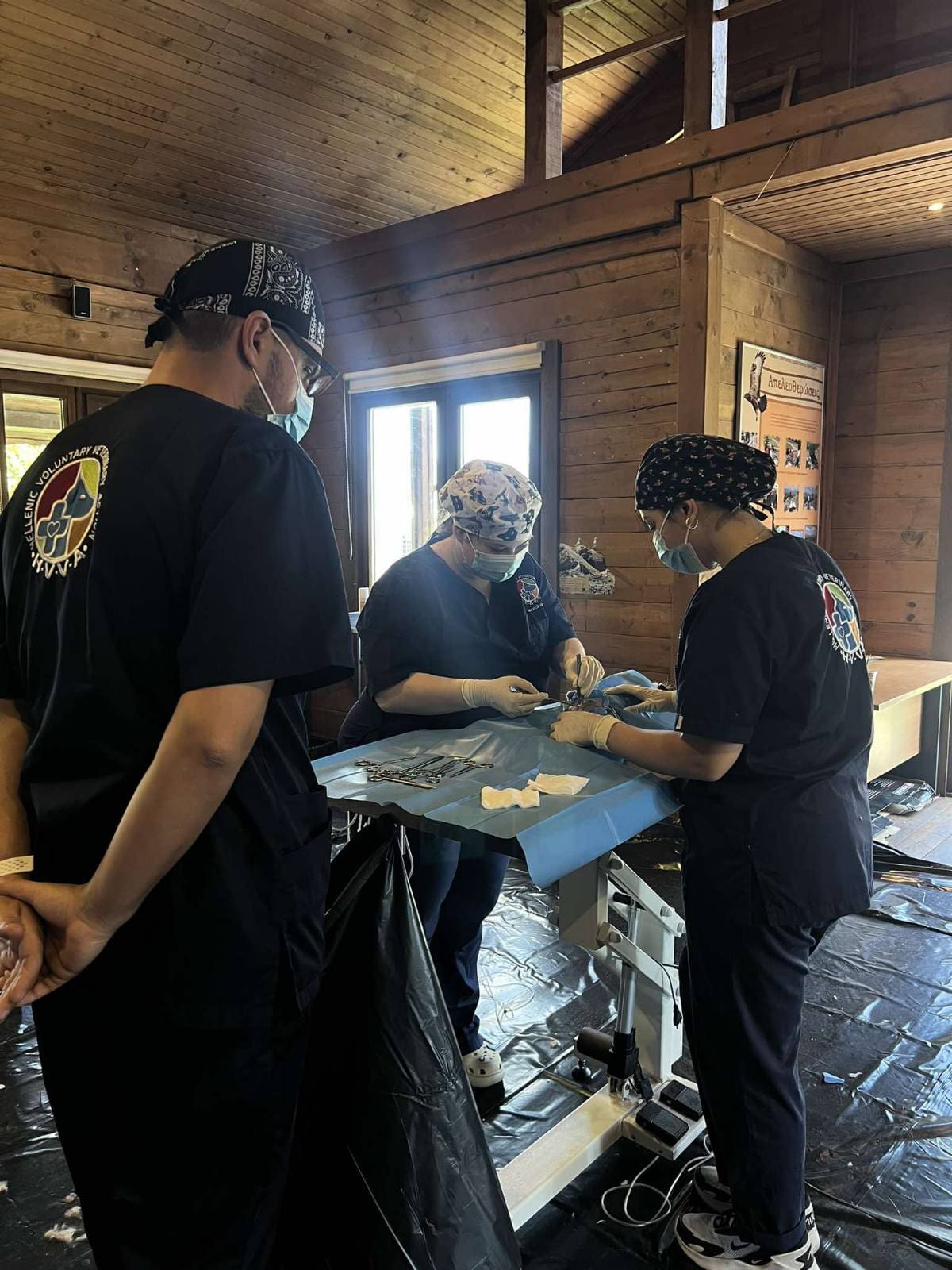 Επιτροπή Περιβάλλοντος & Φιλοζωίας Πανεπιστημίου Δυτικής Μακεδονίας | Ολοκλήρωση φιλοζωικής δράσης στείρωσης αδέσποτων ζώων συντροφιάς. - Eordaialive.com