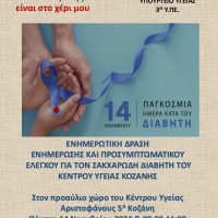 Kοζάνη: Ενημερωτική δράση με αφορμή την Παγκόσμια Ημέρα Σακχαρώδη Διαβήτη - Eordaialive.com