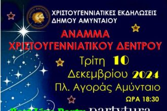 Άναμμα δέντρου, συναυλία και Χριστουγεννιάτικες Εκδηλώσεις στο Αμύνταιο - Eordaialive.com