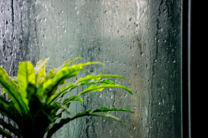 Ραγδαία επιδείνωση του καιρού: Έρχονται καταιγίδες, χιονοπτώσεις και ισχυροί άνεμοι - Eordaialive.com