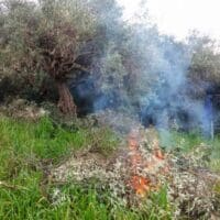 Διοικητικά Πρόστιμα για Καύση Φυτικής Βλάστησης σε Φλώρινα και Καστοριά: Παράβαση Νομοθεσίας - Eordaialive.com
