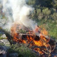 Πρόστιμο για Παράνομη Καύση Φυτικής Βλάστησης στο Μηλοχώρι Εορδαίας - Eordaialive.com
