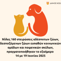 Δήμος Κοζάνης: Άλλες 160 στειρώσεις αδέσποτων ζώων, δεσποζόμενων ζώων ευπαθών κοινωνικών ομάδων και ποιμενικών σκύλων, πραγματοποιήθηκαν το εξαήμερο 14 με 19 Ιουνίου 2025 - Eordaialive.com