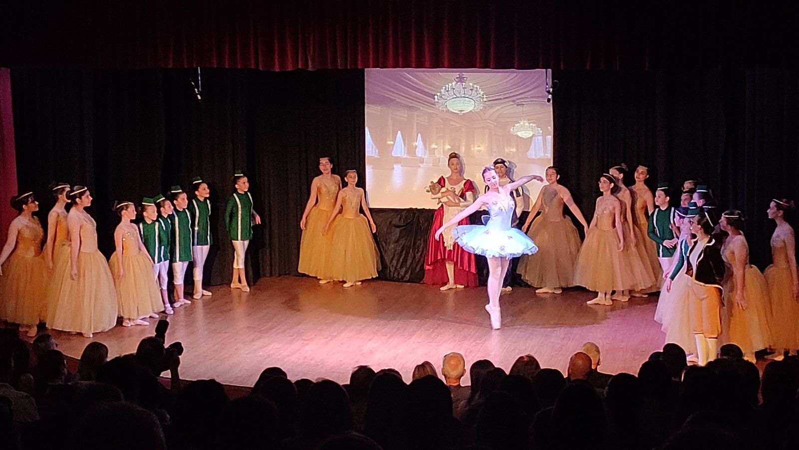 Επιτυχής Ολοκλήρωση Χορευτικής Χρονιάς για τη Σχολή Χορού 'Τασιούδη Μάρθα Δήμητρα' με Αποκορύφωση την Παράσταση 'Η Ωραία Κοιμωμένη - Eordaialive.com