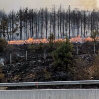 Αναγνώστης καταγράφει δασική πυρκαγιά ανάμεσα σε Ποντοκώμη και π. οικισμό Μαυροπηγής (βίντεο)