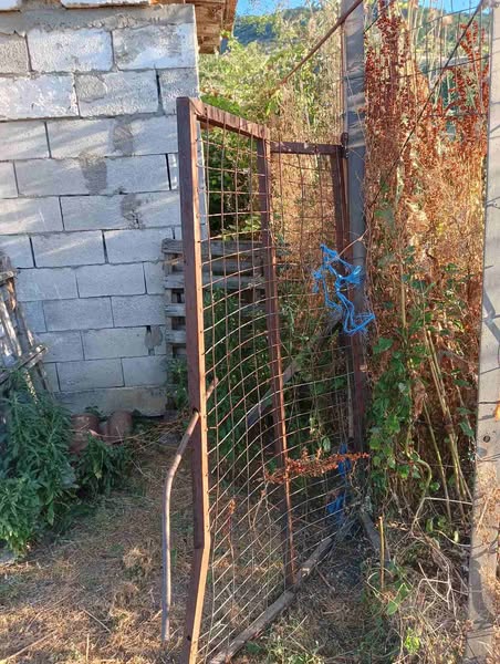 Εορδαία: Νέες “επιδρομές” Αρκούδων σε κτηνοτροφική μονάδα και ορνιθώνα στην Αναρράχη - Eordaialive.com