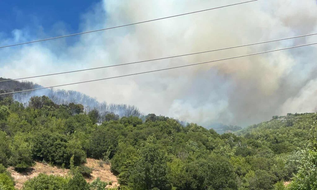 Φωτιά τώρα σε δασική έκταση στη Σκάλα Δεσκάτης Γρεβενών