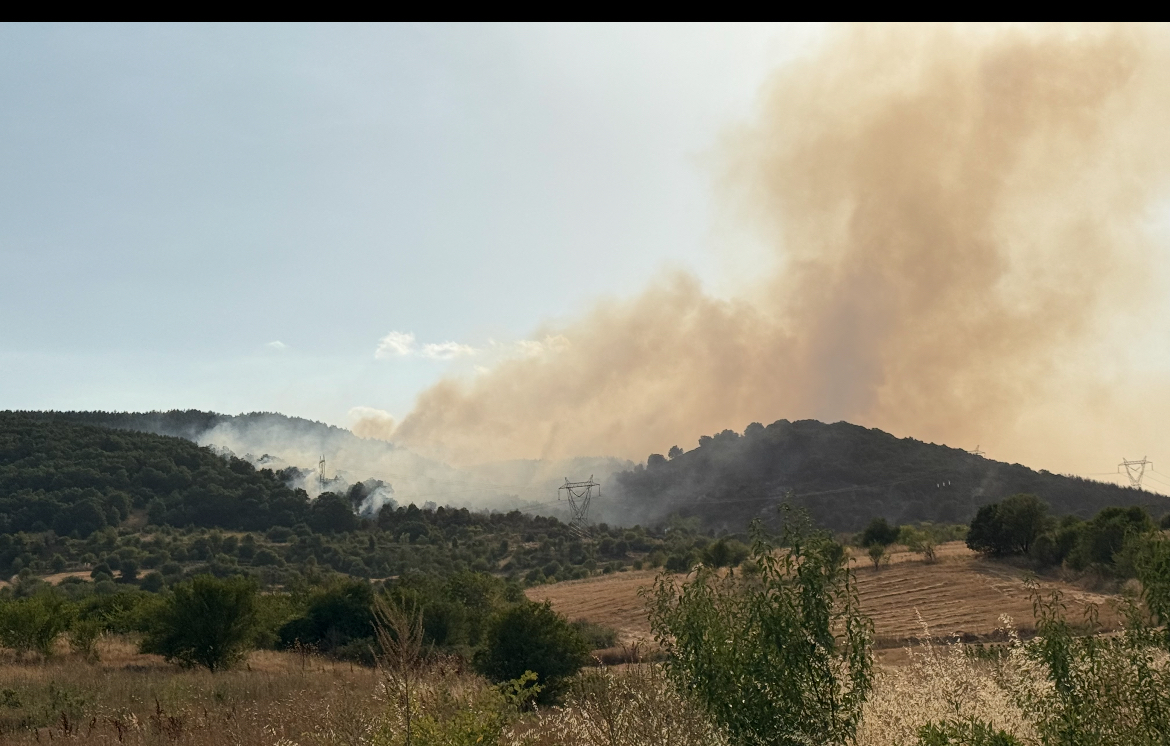 Δασική πυρκαγιά ανάμεσα σε Ποντοκώμη και π. Οικισμό Μαυροπηγής (βίντεο - UP) | Eordaialive.com Δασική πυρκαγιά ανάμεσα σε Ποντοκώμη και π. Οικισμό Μαυροπηγής (βίντεο - UP) - Eordaialive.com