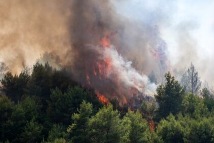 Φωτιά στην Καστοριά: Ενισχύθηκαν οι δυνάμεις πυρόσβεσης στο Μακρυχώρι – Κατακαίει δασική έκταση