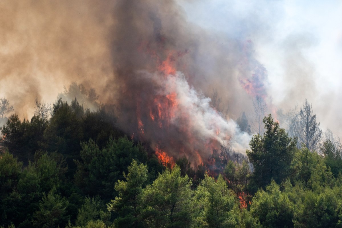 Φωτιά στην Καστοριά: Ενισχύθηκαν οι δυνάμεις πυρόσβεσης στο Μακρυχώρι – Κατακαίει δασική έκταση